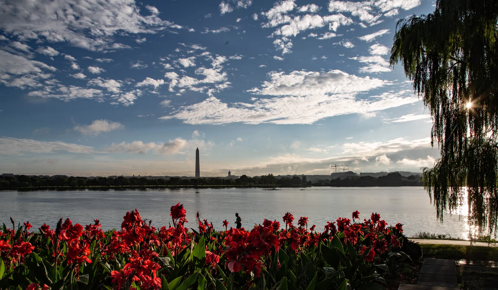 Washington DC waterfront