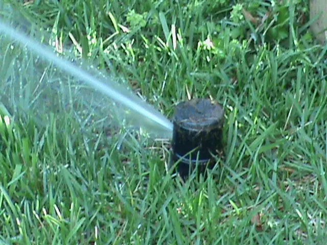Rotor sprinkler head running on an established lawn